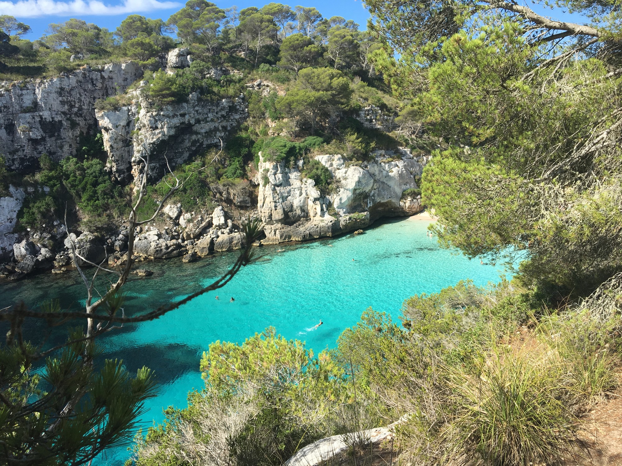 A turquoise cove between cliffs and pine trees in Menorca